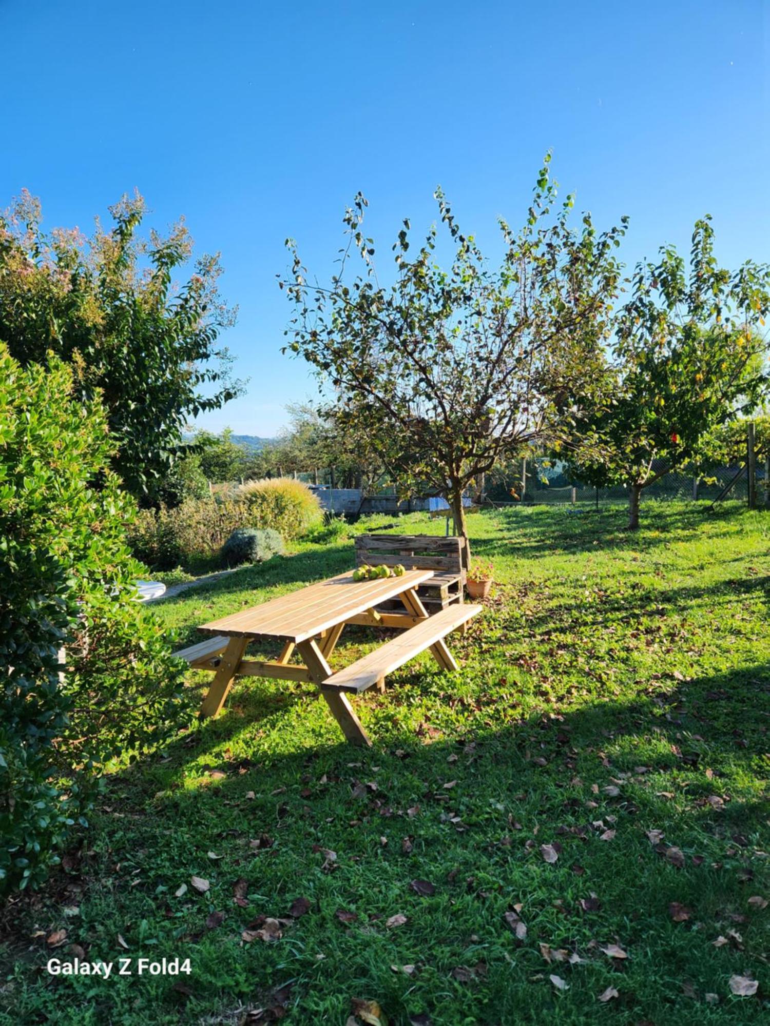 Ferienwohnung Figuets 3 Chateauneuf-de-Galaure Exterior foto